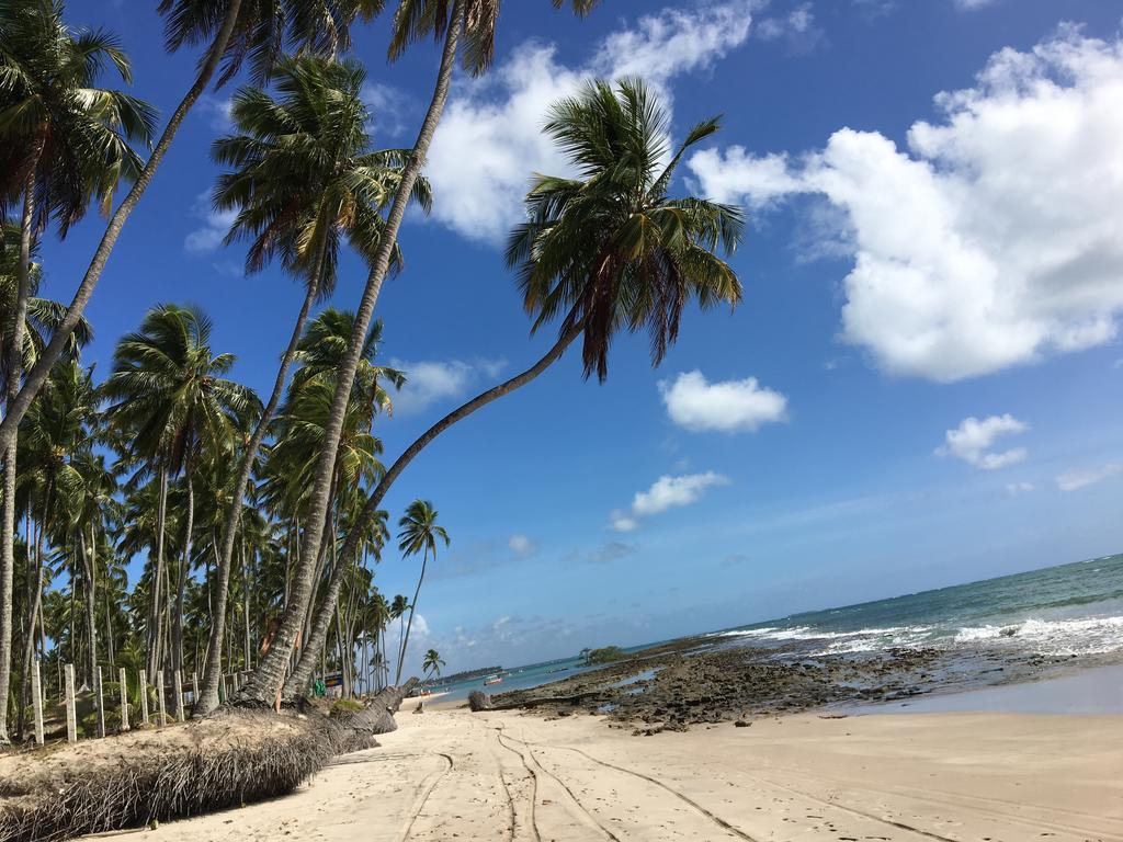 Praia Dos Carneiros Apart Beira-Mar Tamandaré Exteriör bild